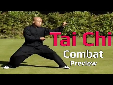 Tai Chi Combat 1 video Preview