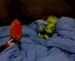 muñecos de peluche pornograficos (1era parte)
