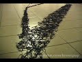 Incredible Stereo Illusion!