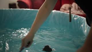 The Immaculate Waterbirth At Home Welcoming Babygirl Laikyn