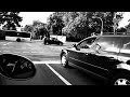 Goldfish Video preview