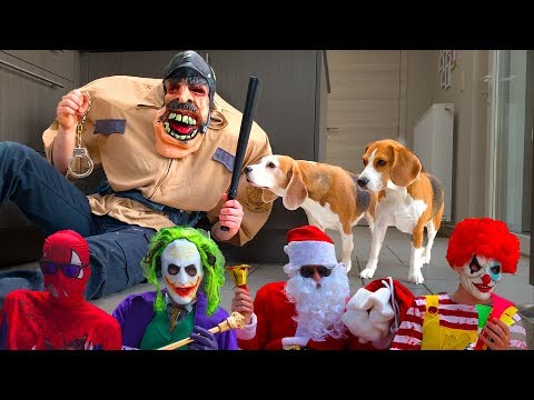 Funny Dogs get Pranked Compilation 2 : Cute Dogs Louie and Marie
