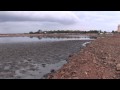 A Salina ' wetland' being destroyed on Bonaire