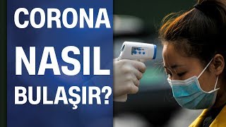 Koronavirüs Corona Nasıl Bulaşır, Belirtileri Nelerdir?