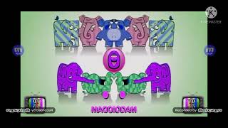 Um Elefante Galinha Pintadinha 2 Dvd In Has A Conga Busher