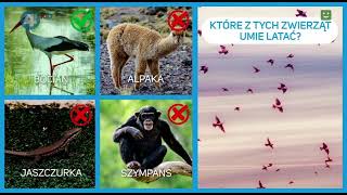 4Fun Kids - Zagadka 31.12.2021, 1223