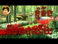 Ros Serey Sothea - Khmer Old Song - Cambodia Music MP3 - Knhom Keng Neng Bong Hery