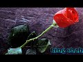 Chand Taron Main Nazar Beautifull Love Roamtci Song Hindi Indian images Chand Taron Main Nazar Beautifull Love Roamtci Song Hindi Indian