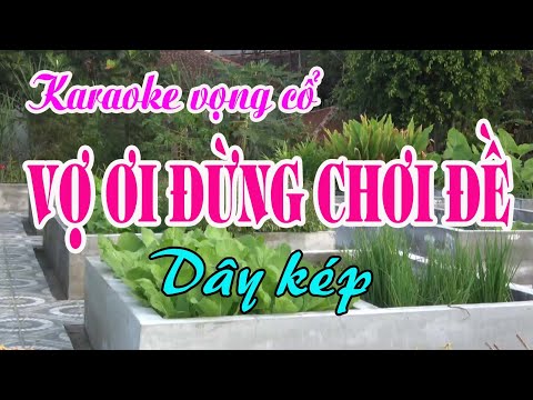 Karaoke Vọng cổ: VỢ ƠI ĐỪNG CHƠI ĐỀ - Tác giả: Nguyễn Hữu Nghĩa