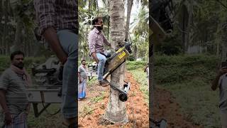 This Is A Lot Faster Than Shaking The Tree...🤯🌴 I 🎥: @Peters-Make-It-Possible #Trees #Machinery