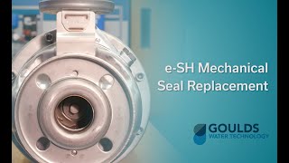 E-Sh Mechanical Seal Replacement