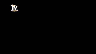 Пропорция Зимнего И Новогоднего Логотипа (1.12.2023-29.02.2024)