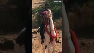 A Cool Video Here, Watch And Enjoy It
