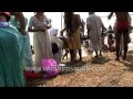 Hindu pilgrims and sadhus assemble for Kumbh Mela in Allahabad