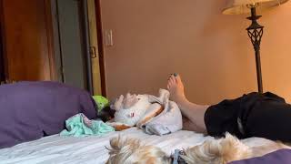 Wifes Feet While Shopping On Her Phone