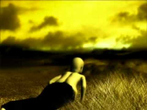 Amber Video