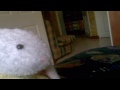 Tania S Head Problems images Tania S Head Problems