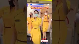 Pramugari Cantik Lagi Goyang