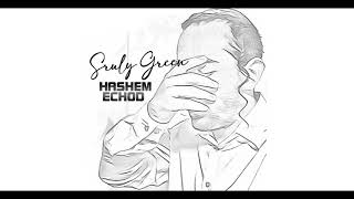 Sruly Green - Hashem Echod שרולי גרין - השם אחד
