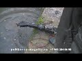 Поисковые магниты с доставкой по 