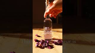 Have You Wondered What To Do With Sweet Violets? This Wild Violet Gin Is Perfect