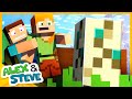 🐢 THE EGG FINALLY HATCHED! Minecraft Animation | The Minecraft Life of Alex and Steve