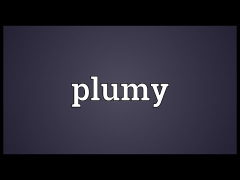 Header of plumy