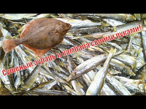 Как в домашних условиях завялить корюшку в домашних условиях