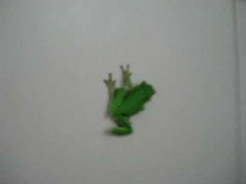Green Tree Frog Jumping