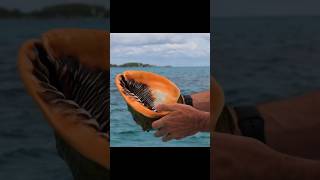 Unveiling The Ocean's Hidden Delicacy In The Bahamas!! #Food #Shorts #Shortvideo