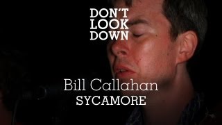 Watch Bill Callahan Sycamore video