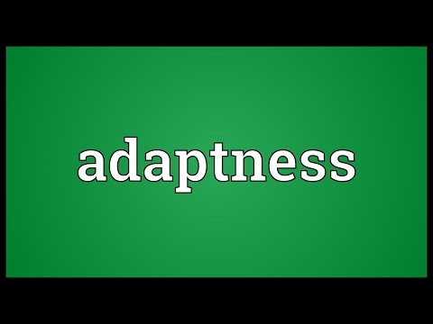 Header of Adaptness