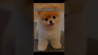 Keşfet Olurmu-
