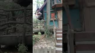 Gamonya Fi̇lmi̇n Çeki̇ldi̇ği̇ Yer