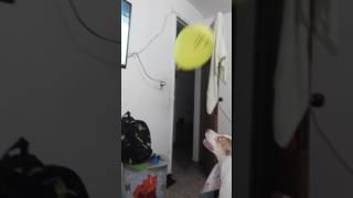 Reventando Bombas1