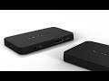 netgear