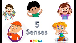The Five Senses I Kids Vocabulary - 5 Senses - Learn English For Kids - English Educational Video