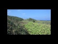辺戸岬遥拝所 天然塩ありがたやパワースポット巡り