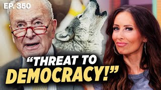 Democrats Crying Wolf About A Threat To Democracy Backfires