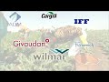 Unilever Supply Chain