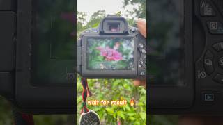 Canon 700D Photography
