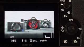 01. Focus Peaking and Magnify Focus - Sony Alpha Tutorial