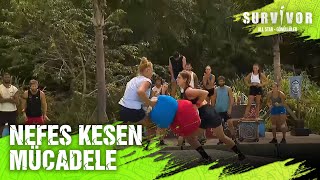 Yağmur Ve Almeda Tüm Güçlerini Kullandı Survivor Türkiye 12.02.2025