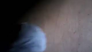 Tki Sabah Duet Cewek Cantik