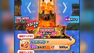ぷにぷに泣きのガチャ10連