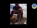 TOP Animal Rescues, Emotional/Inspiring/Funny Will Melt Your Heart Compilation. REAL LIFE HEROES