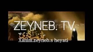Xanim Zeyneb heyati
