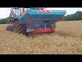 Essai comparatif de techniques de semis de moutarde