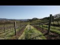 Ground cover crops in spring: sustainable vineyard farming practices (The Journey Blog 5.20.10)