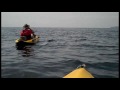 Kayaking and a VERY close experience with Killer Whales in Sooke, BC